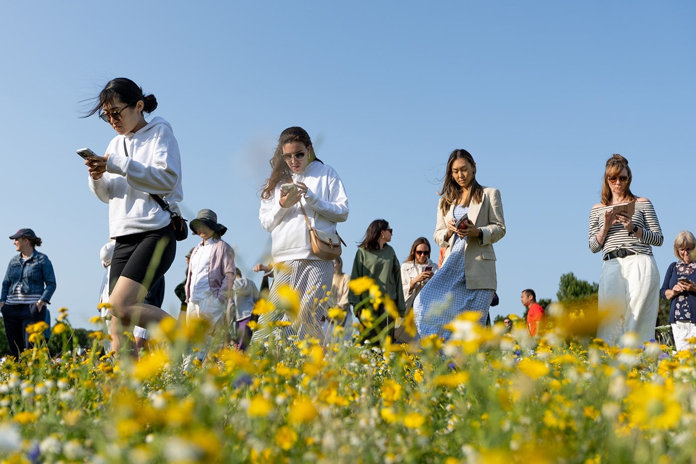 Up and running The Championships, Wimbledon Official Site by IBM