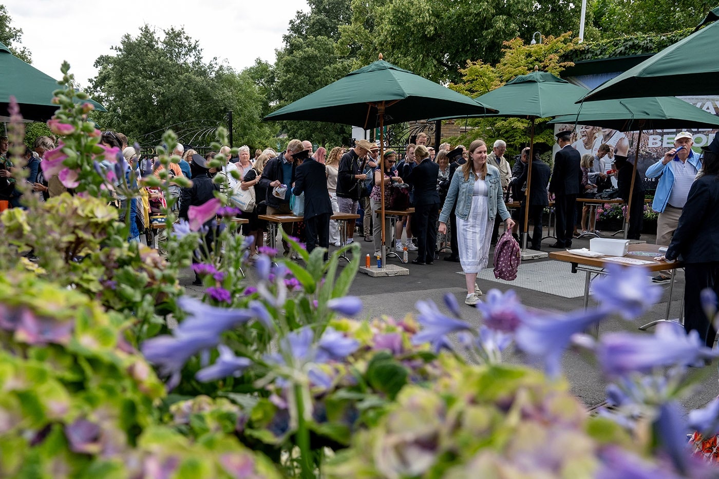 Up and running The Championships, Wimbledon Official Site by IBM