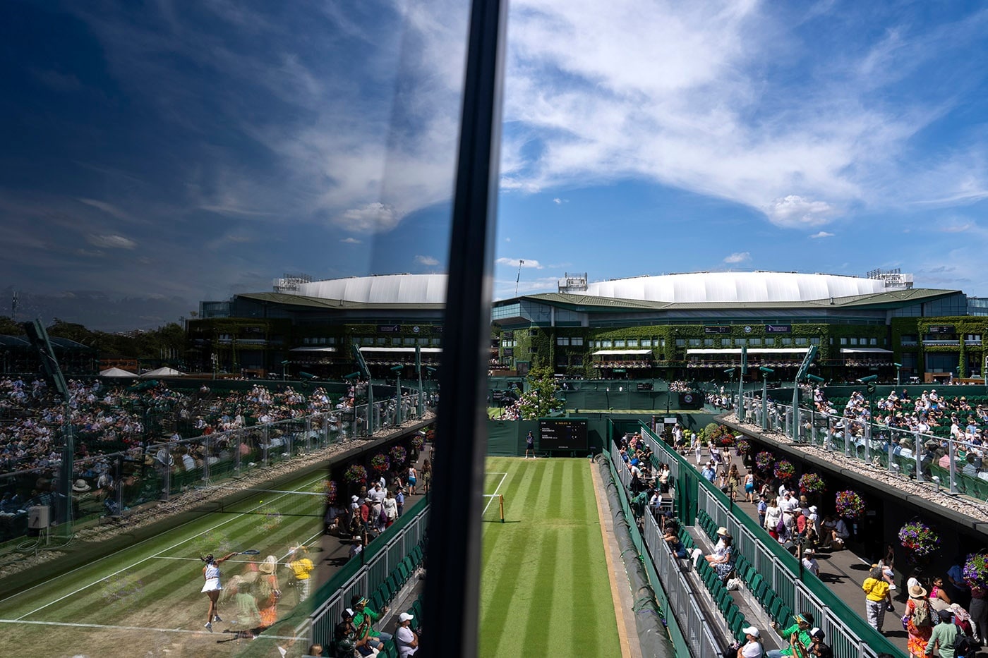 ウィンブルドン　ボタン　THE CHAMPIONSHIPS WIMBLEDON ウィンブルドン ボタン THE CHAMPIONSHIPS WIMBLEDON（2024